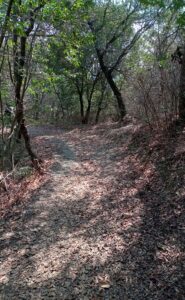 蔵王山登山