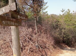 蔵王山登山