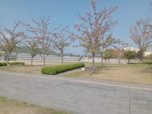 エフピコアリーナふくやま福山市総合体育館公園