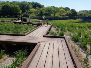 春日池公園