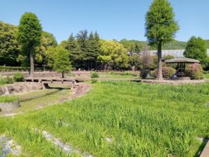 春日池公園