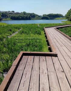 春日池公園