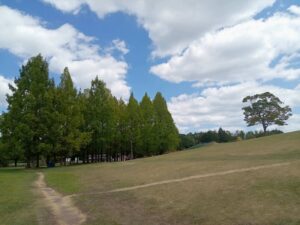 国営備北丘陵公園