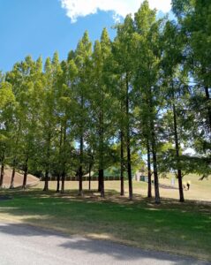 国営備北丘陵公園