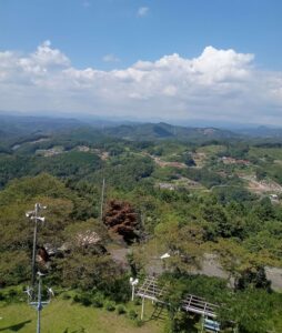 とよまつ紙ヒコーキ・タワー