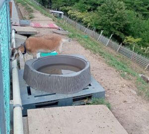 道の駅さんわ１８２ステーション