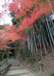 愛宕神社参道