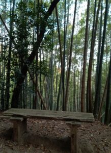 愛宕神社参道