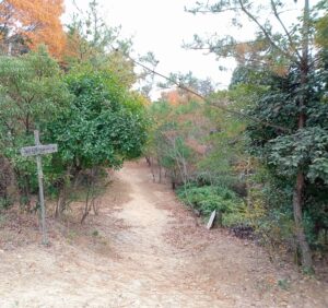 草戸山公園展望台