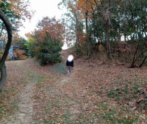 草戸山公園展望台