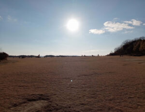 県立中央森林公園