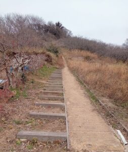 寄島園地