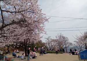千光寺公園ふれあい広場