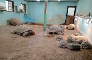 安佐動物公園