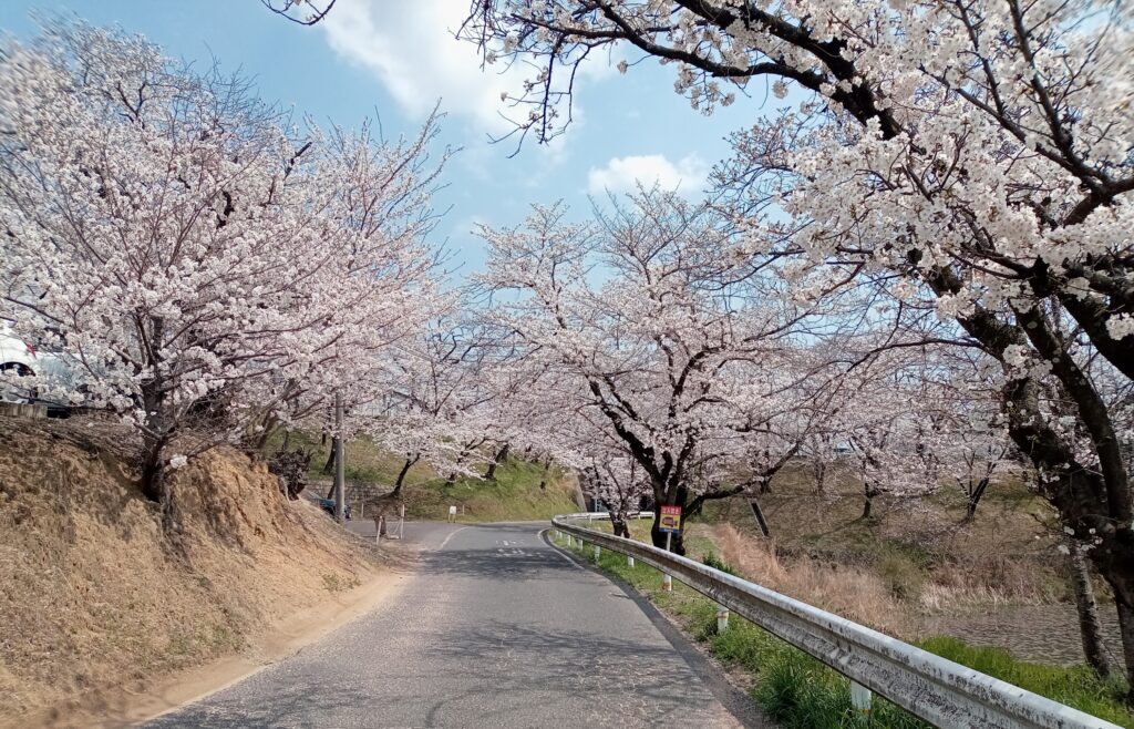雑司池
