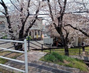 東部市民センター桜