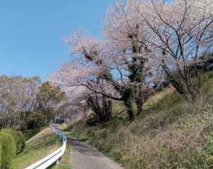 佐波城山公園