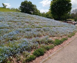 国営讃岐まんのう公園
