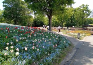 国営讃岐まんのう公園