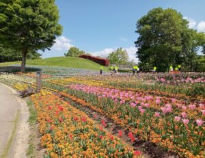 国営讃岐まんのう公園