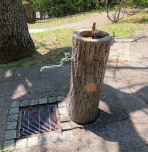 国営讃岐まんのう公園