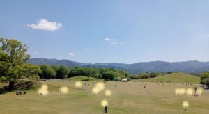国営讃岐まんのう公園