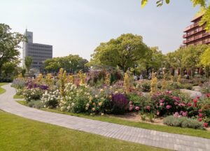 ばら公園