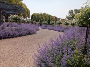 ばら公園