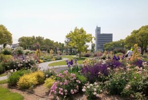 ばら公園