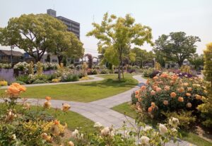 ばら公園