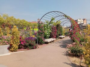 ばら公園