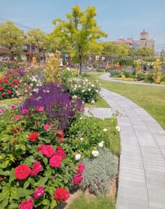ばら公園