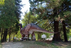 カブトガニ博物館