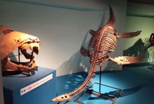 カブトガニ博物館