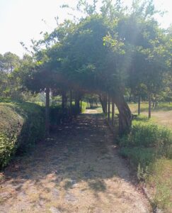 堂々公園