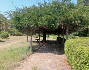 堂々公園