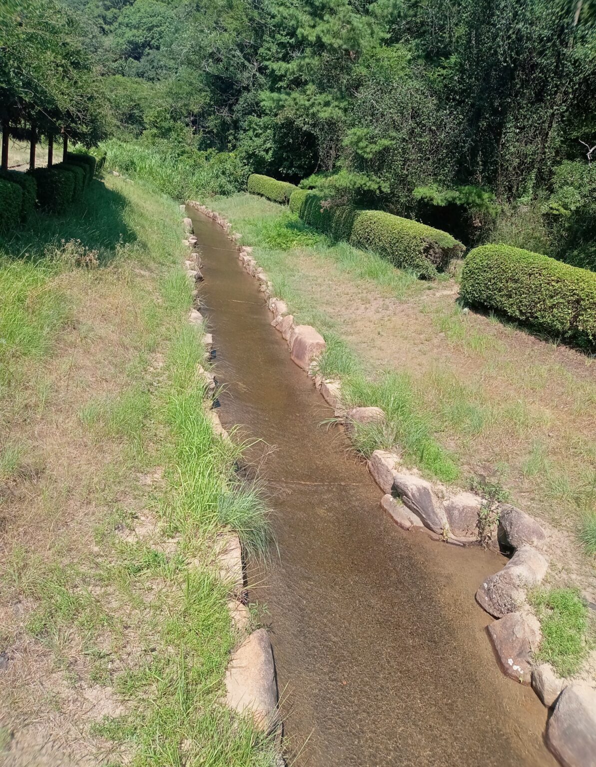 堂々公園