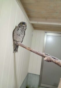 松江フォーゲルパーク