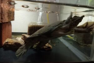 渋川マリン水族館