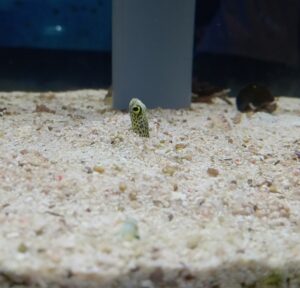 渋川マリン水族館