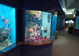 渋川マリン水族館