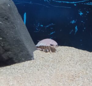 渋川マリン水族館