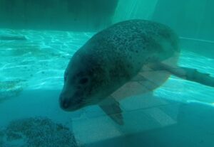 渋川マリン水族館