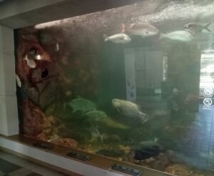 渋川マリン水族館