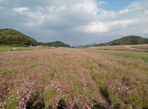 笠岡ベイファーム