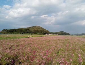 笠岡ベイファーム