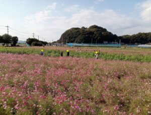 笠岡ベイファーム