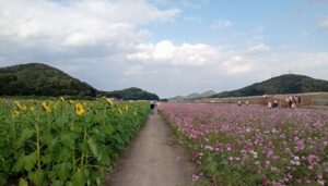 笠岡ベイファーム