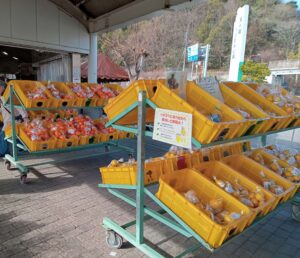 多々羅しまなみ公園