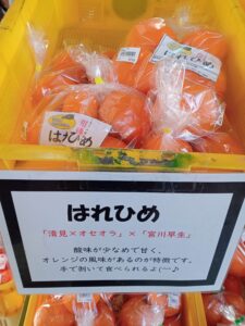 多々羅しまなみ公園